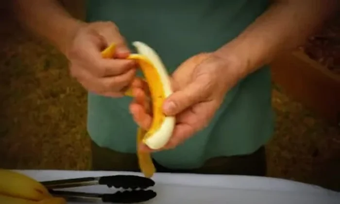 Peel the bananas and shape them nicely.