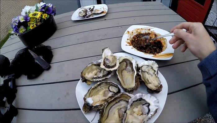 Spoon the sauce over the oysters in their shells.