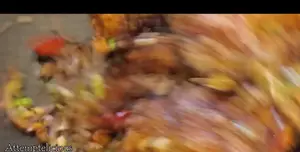 Oven-Baked Salt & Pepper Chicken Wings: A Crispy, Healthy Recipe