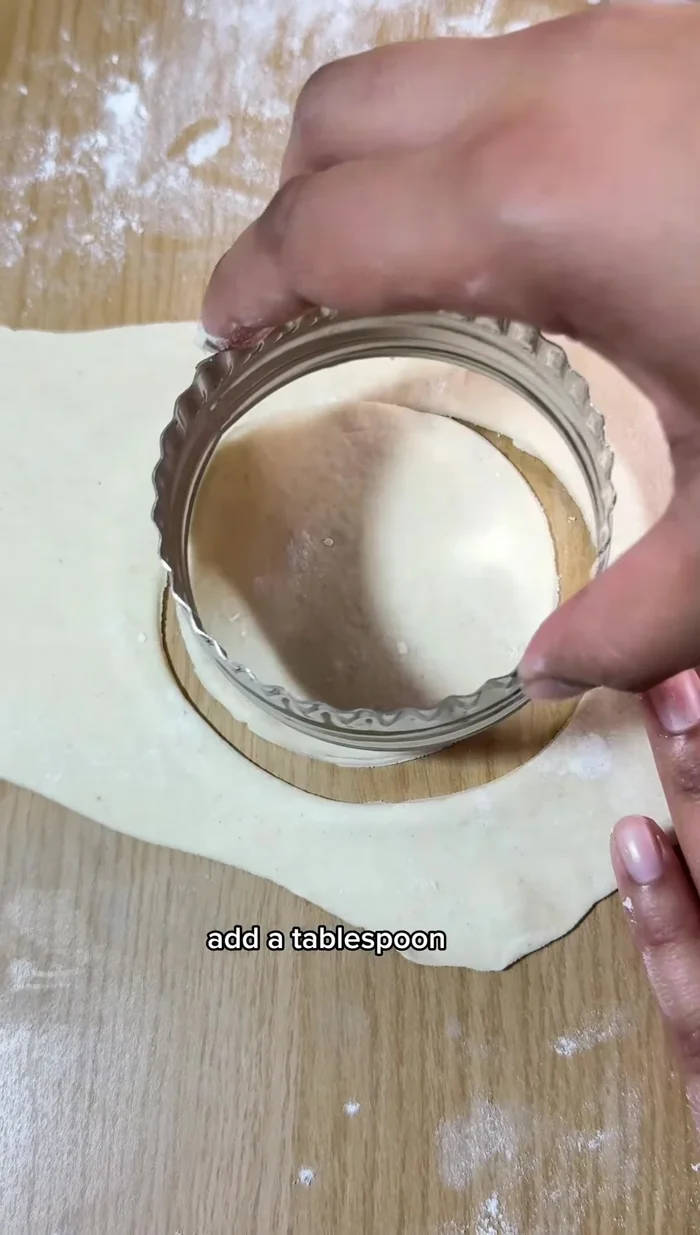Add a tablespoon of filling (with or without cheese) to each circle. Fold and pleat the edges, pinch and twist the top to seal.