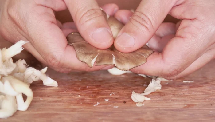 Prepare the mushrooms by cutting larger pieces into smaller ones.