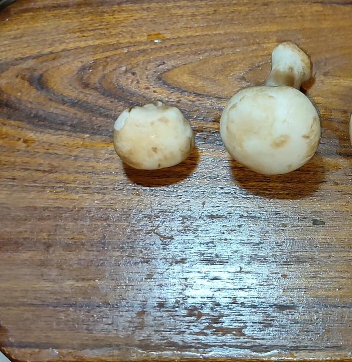 Cut large mushrooms into four pieces, medium and small into two. Don't cut them too small.