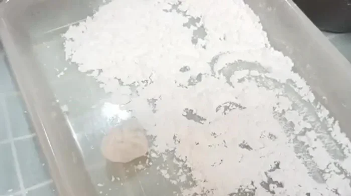 Fill each dough bowl with the prepared filling.