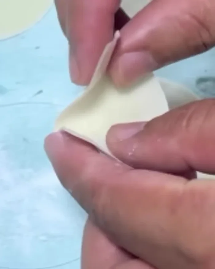 Add 1/2 water to each dumpling sheet.