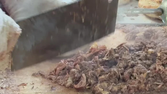 Prepare the beef filling. Carefully select beef with the right balance of fat, lean meat, and tendon.