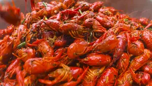Spicy Live Crawfish Fry: A Chinese Culinary Adventure
