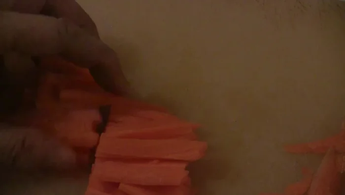 Cut carrot into 1 1/2 inch long pieces.