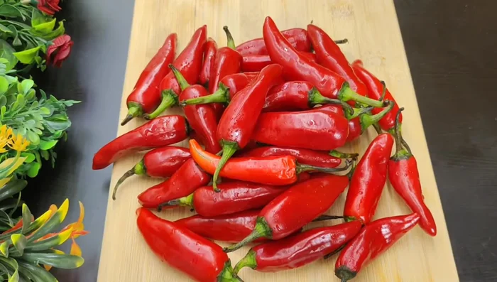 Wash and roughly chop the red and green chilies. Don't chop them too finely.