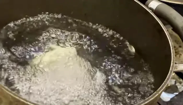 Blanch the oysters for about 30 seconds to solidify their size.
