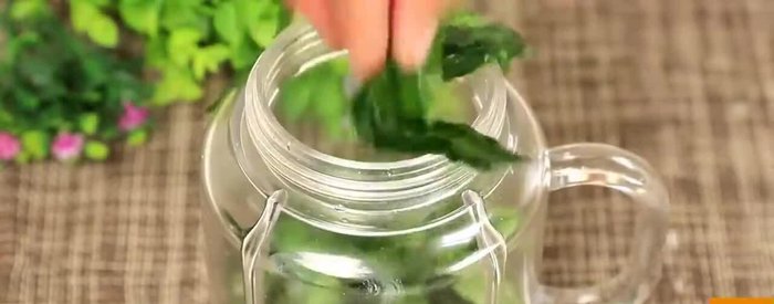 Make the jelly: Combine agar-agar powder (or sheets) and water in a pot. Heat over medium heat, stirring constantly until the agar-agar dissolves completely. (Again, specific measurements are absent from the transcript)