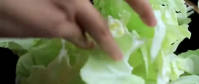 Continue to stir-fry until the cabbage is cooked through and flavors are well combined.