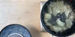 Homemade Chinese Dumplings: A Step-by-Step Guide