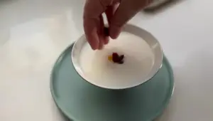 Bing SuLao: A Creamy Fermented Rice Dessert
