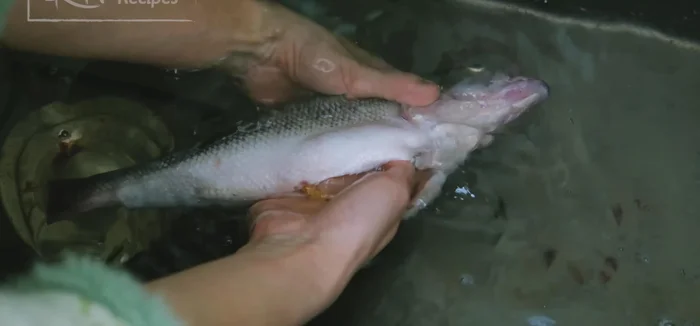 Cut open the belly and remove the innards. Rinse the fish thoroughly with cold water.
