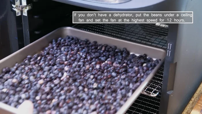 Dehydrate the beans again at a low temperature for 6 hours to remove excess moisture from rinsing. Stir every hour.