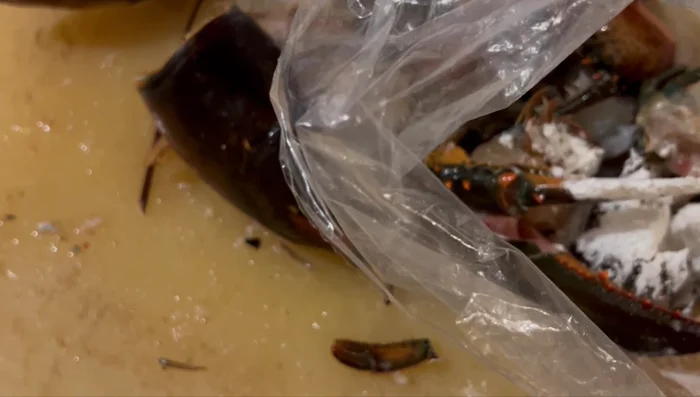 Coat lobster pieces with cornstarch in small batches using plastic bags for even coating. (717.92)
