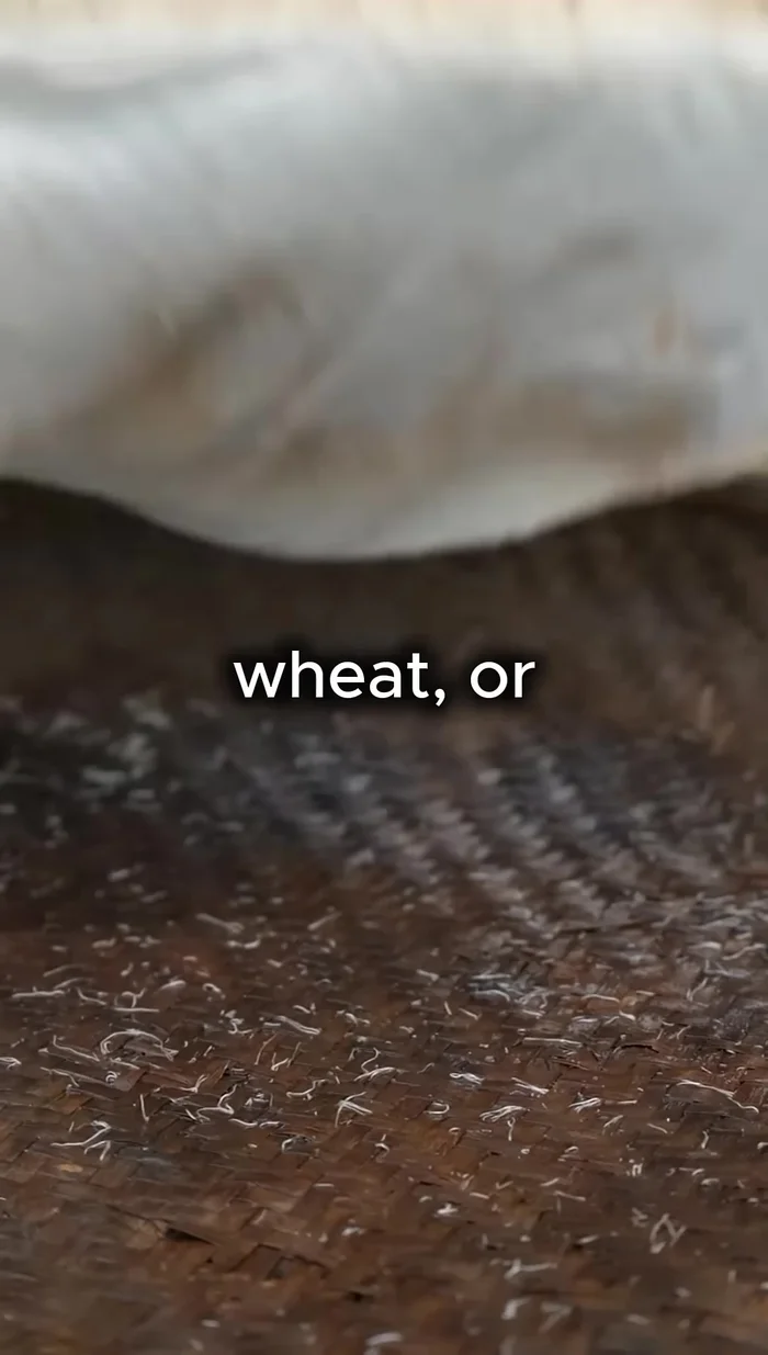 Plant barley, wheat, or glutinous rice in neat rows. Care for the crops through wind and rain.