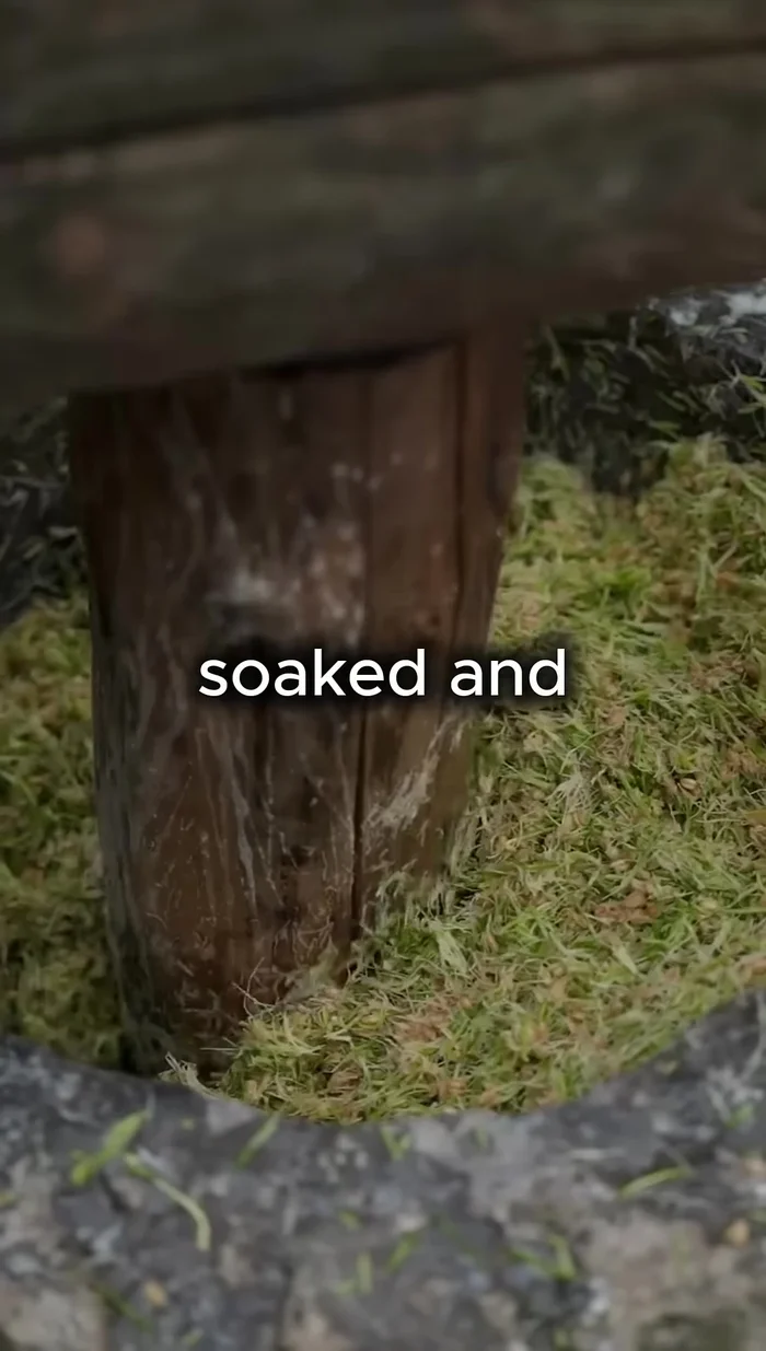 Soak the grains and allow them to sprout. This activates natural enzymes that break down starch into sugar.