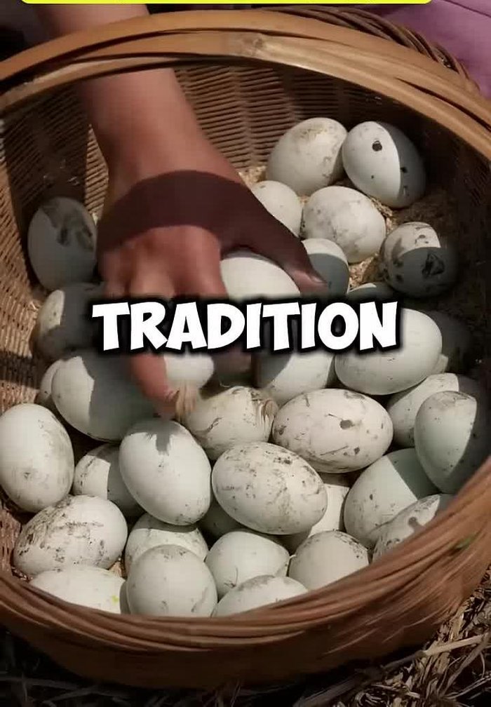 Place the coated eggs in a suitable container.