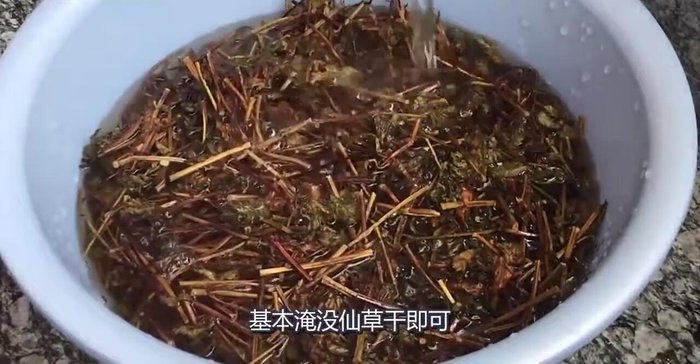 Add the prepared grass jelly to the milk.