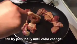 Pork Belly with Hairy Gourd & Dried Scallop: A Delicious Recipe