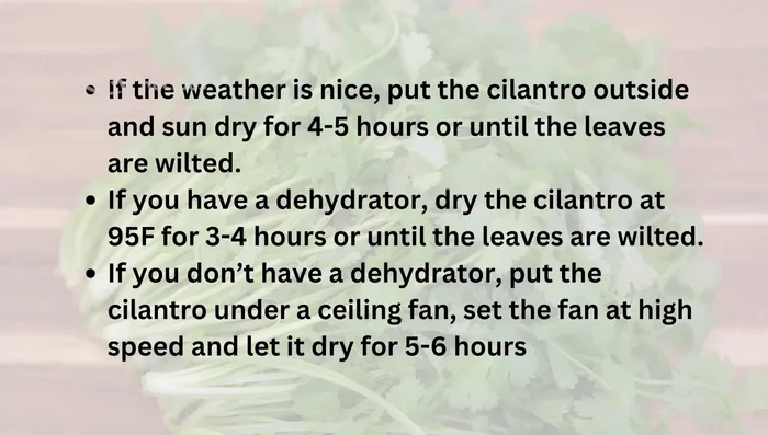 Place cilantro on a rack and let it dry using a dehydrator at 95°F for 3-4 hours (30.199).